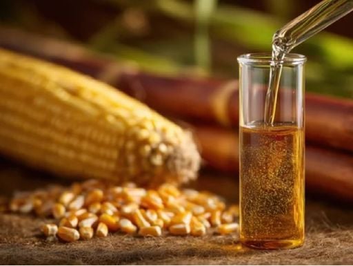 El futuro energ&eacute;tico podr&iacute;a estar en el ma&iacute;z y la ca&ntilde;a: los biocombustibles que quieren jubilar al petr&oacute;leo