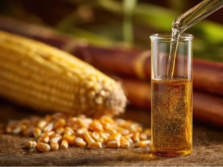 El futuro energ&eacute;tico podr&iacute;a estar en el ma&iacute;z y la ca&ntilde;a: los biocombustibles que quieren jubilar al petr&oacute;leo