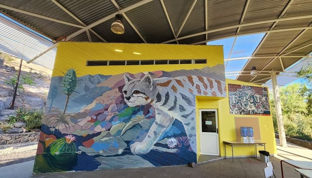 Mural gato andino El mural fue pintado por el artista Loncho Salazar, quien forma parte de la Alianza Gato Andino. Créditos de la imagen: Escuela Alemana de San Felipe.