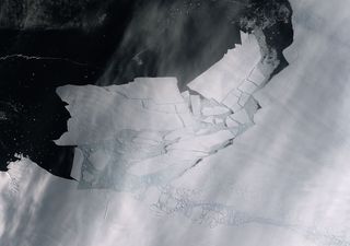 El gigante iceberg B-49 que se desprendió de la Antártida