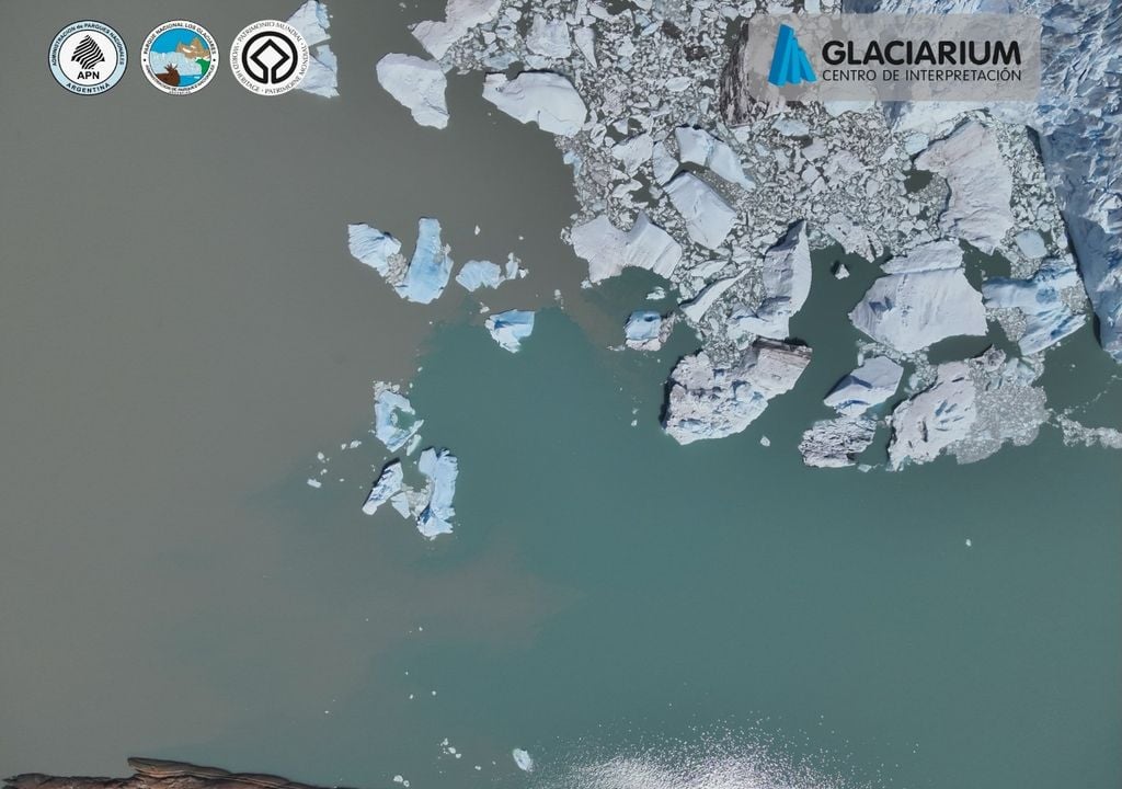 En la imagen se ve cómo el agua del Brazo Rico/Sur es mas turbia que la del Canal de los Témpanos, y no se mezcla facilmente. Imagen: Glaciarium