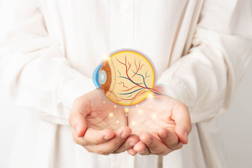 El glaucoma se produce cuando se acumula fluido en la parte de adelante del ojo, aumentando la presión de éste, dañando el nervio óptico, llevando a una pérdida lenta y silenciosa de la visión.