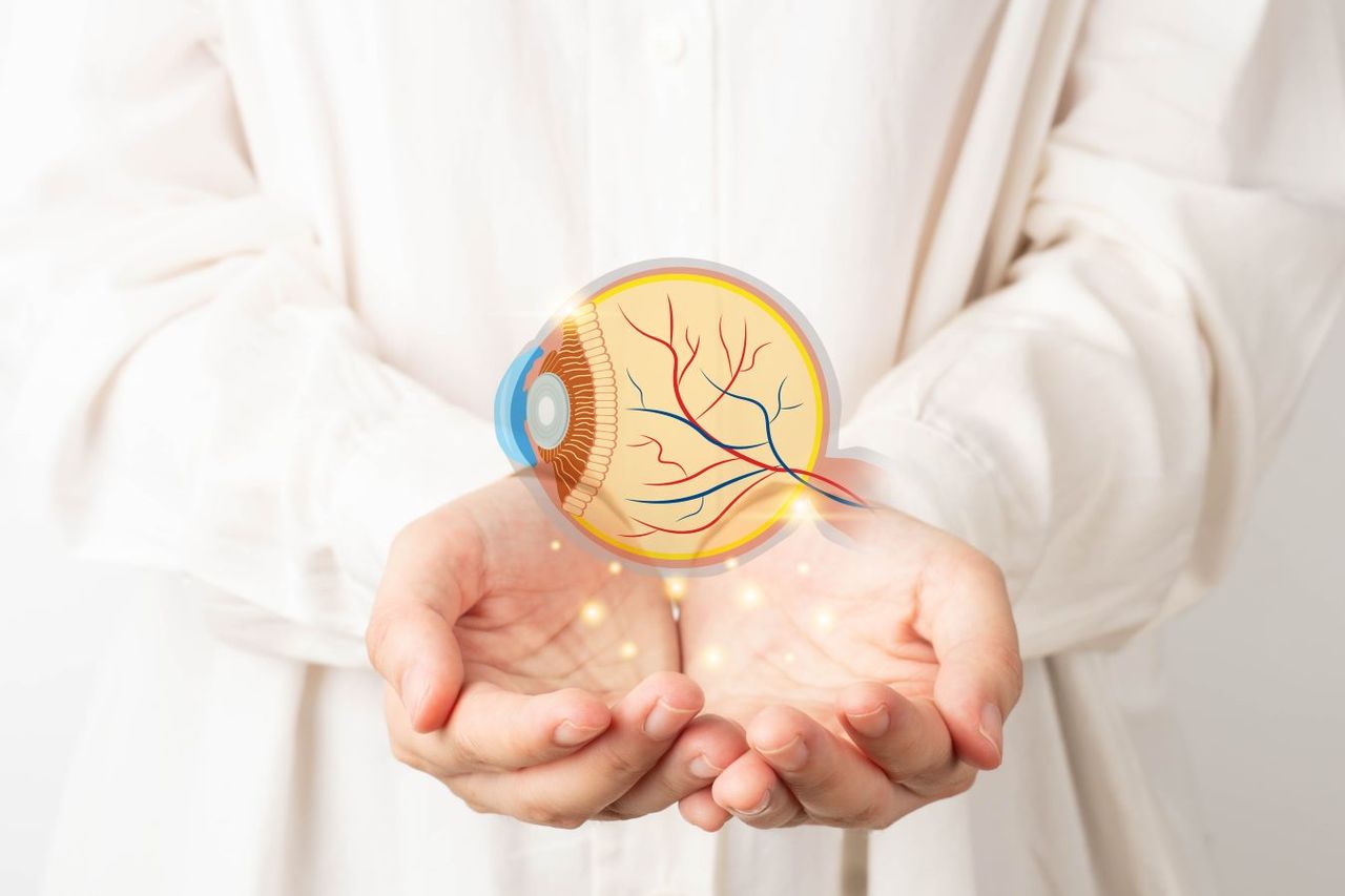 El glaucoma se produce cuando se acumula fluido en la parte de adelante del ojo, dañando el nervio óptico y llevando a la pérdida lenta y silenciosa de la visión.