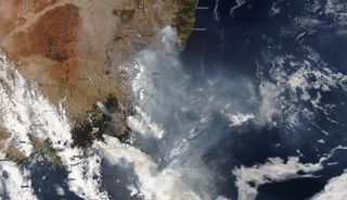 El gobierno australiano desbordado por los incendios forestales