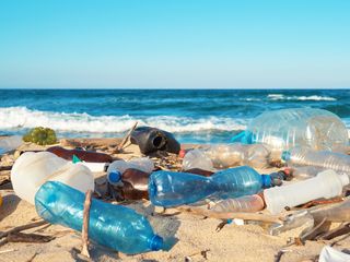 El gobierno de Islas Vírgenes demanda a Coca Cola y Pepsi por contaminar sus costas: el plástico al banquillo