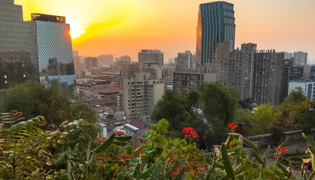 También se han digitalizado más de 12 mil ejemplares biológicos provenientes de herbarios de la Universidad de Chile. Muchas de esas colecciones llevaban décadas guardadas en gabinetes científicos y ahora pasarán a formar parte de plataformas abiertas.