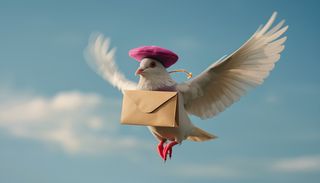 El GPS de las palomas mensajeras no est&aacute; en el cerebro: lo llevan en el h&iacute;gado... &iexcl;y es una br&uacute;jula cu&aacute;ntica!