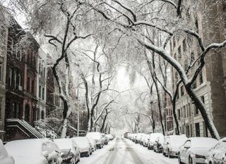 El "Gran Huracán Blanco" que cambió Nueva York