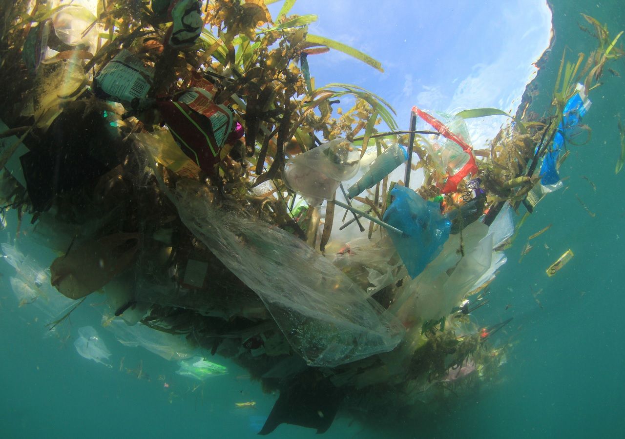 El "Gran Parche del Pacífico" formado por basura, ha sido habitado por organismos microscópicos.