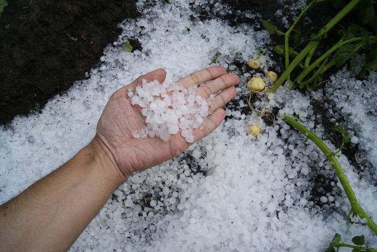 Granizo Granizo