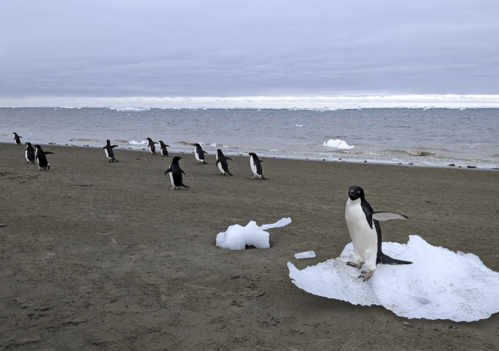 Pingüinos Adelia