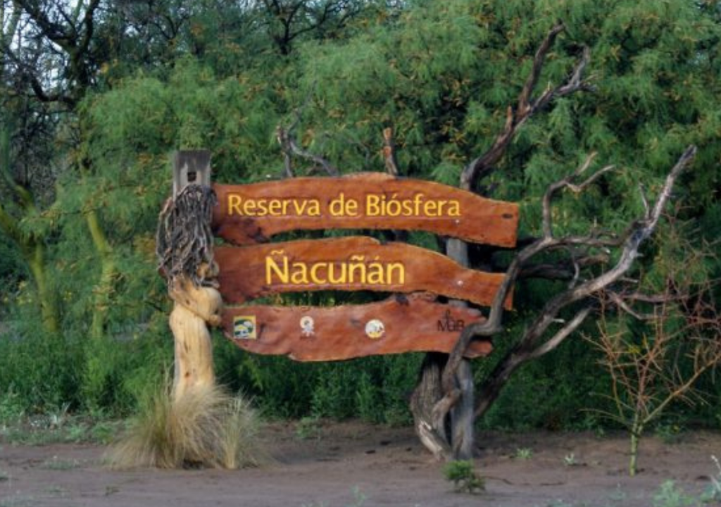 En la Reserva de Biósfera Ñacuñán, en el secano mendocino, viven miles de especies que resultan invisibles al ojo humano- Foto: Gentileza Gobierno de Mendoza