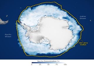 Dramática racha de récords: el hielo antártico alcanza un mínimo anual sin precedentes