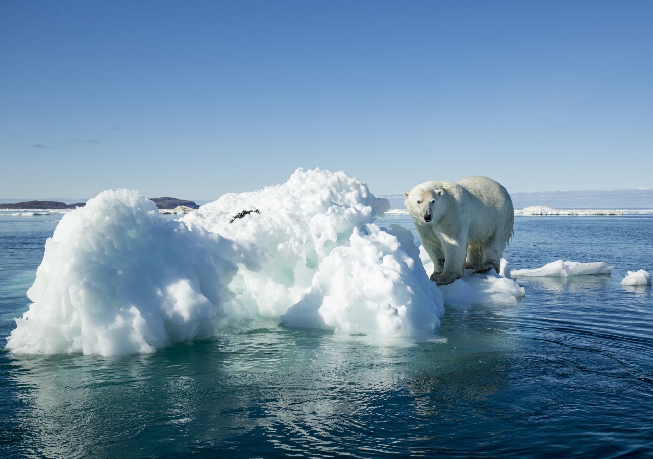 La tasa de disminución del hielo marino que flota sobre el océano Ártico cada final del verano es cercano a 13% por década desde 1979.
