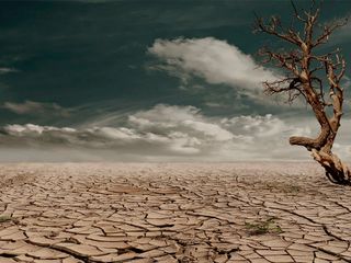 El hombre y el desgaste de la tierra: nos quedamos sin recursos