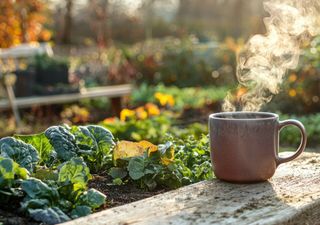 El huerto en abril: estrategias prácticas para un invierno de cosechas abundantes