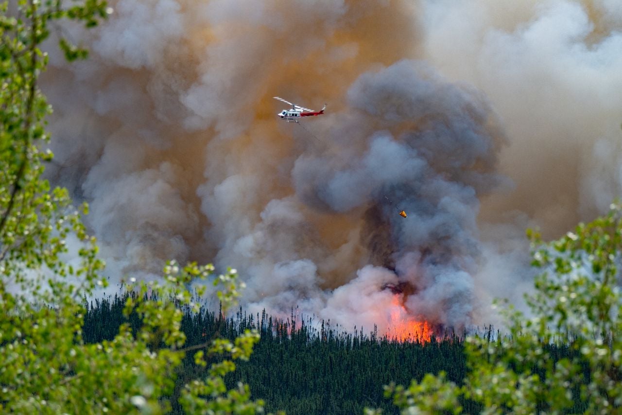 Da oltre una settimana il Canada sta subendo le gravi conseguenze di vasti incendi boschivi che hanno colpito diverse province.