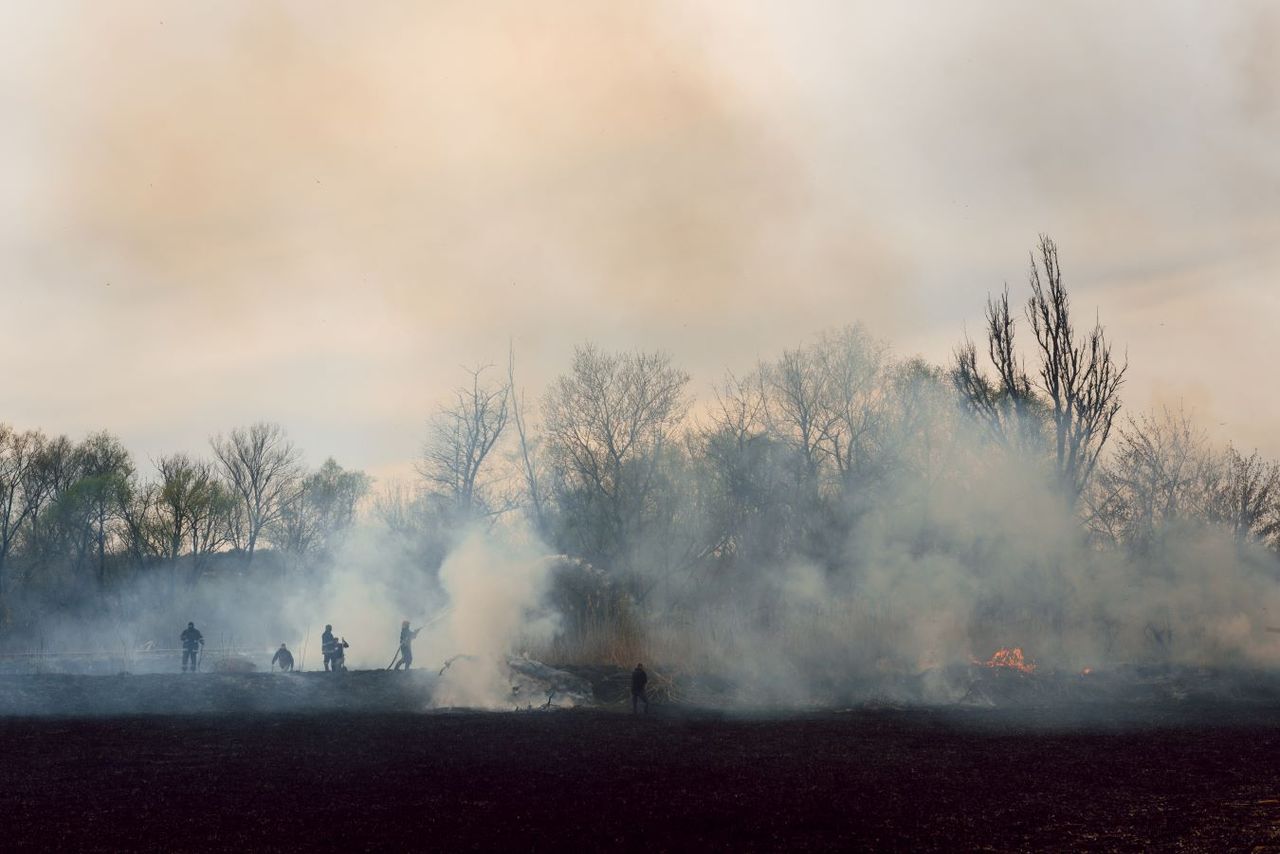 O fumo dos incêndios florestais contém substâncias cancerígenas.