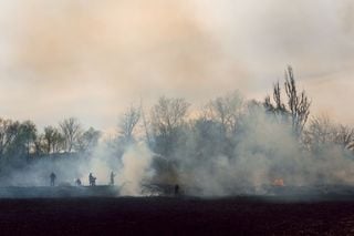 El humo de los incendios es un peligro latente para el cerebro, pulmones y corazón