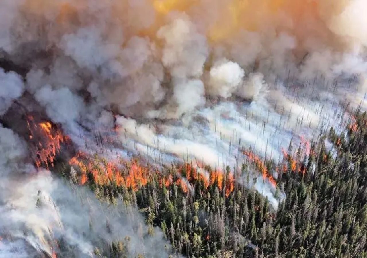 Los incendios en Canadá son cada vez más intensos y destructivos debido a un aumento sostenido de la temperatura en el norte de América.