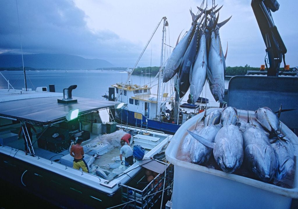 Barco pesquero Barco pesquero