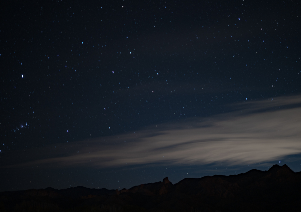Hallazgo arqueológico en los Andes del sur Mientras que en los Andes centrales los grupos migratorios introdujeron la agricultura, en los Andes del sur las prácticas fueron adoptadas por quienes vivían en el lugar. Foto: Gentileza Conicet.