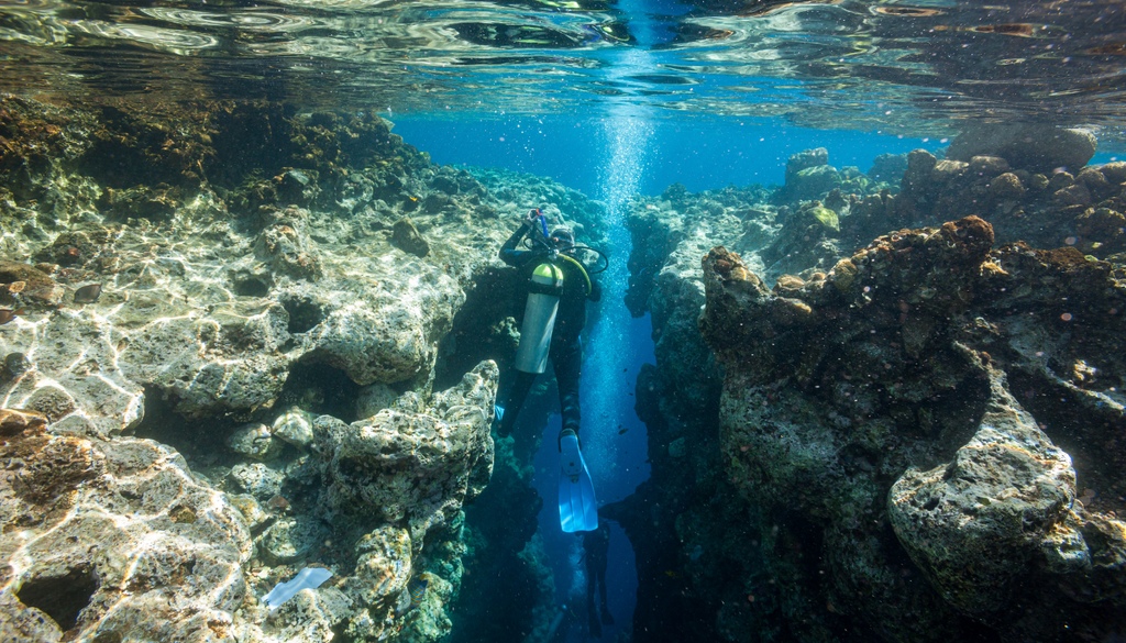 biodiversidad; agujero azul; oceano; ciencia Cada metro de descenso supone un desafío para buzos e investigadores.