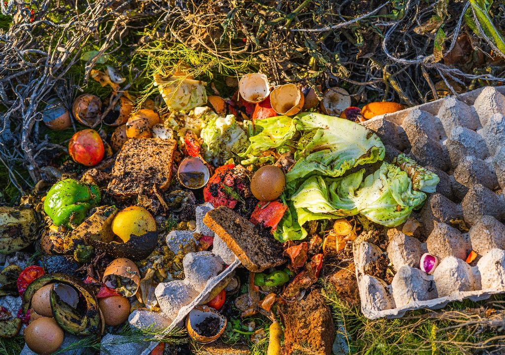 Desperdicios de alimentos sobre el pasto Desperdicios de alimentos sobre el pasto
