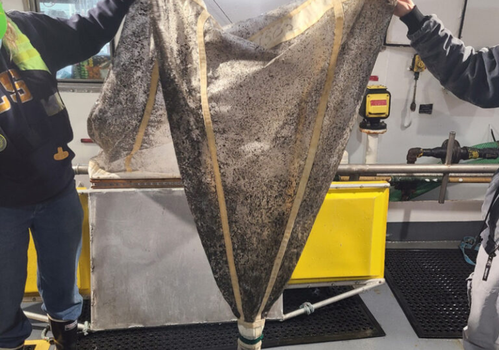 red plancton Investigadores sostienen una red de plancton llena de cenizas y escombros recogidos de la superficie del océano durante los incendios en Los Ángeles en 2025. Crédito: Rasmus Swalethorp/Scripps Institution of Oceanography, U. de California, San Diego.