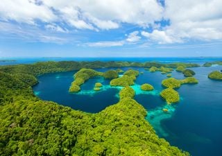 La vegetación de las islas cambia drásticamente cuando son colonizadas por humanos, así lo explican los científicos
