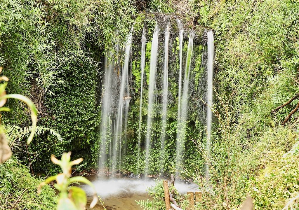 El recorrido por el Parque Yayanes finaliza con una bonita cascada. Crédito: Municipalidad de Puqueldón.