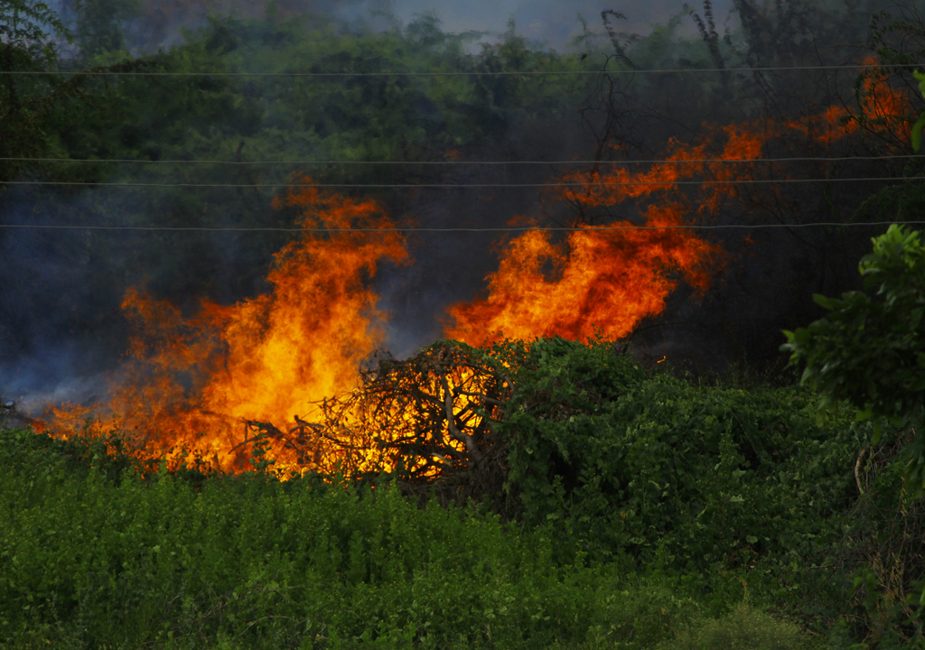 Incendio forestal Incendio forestal