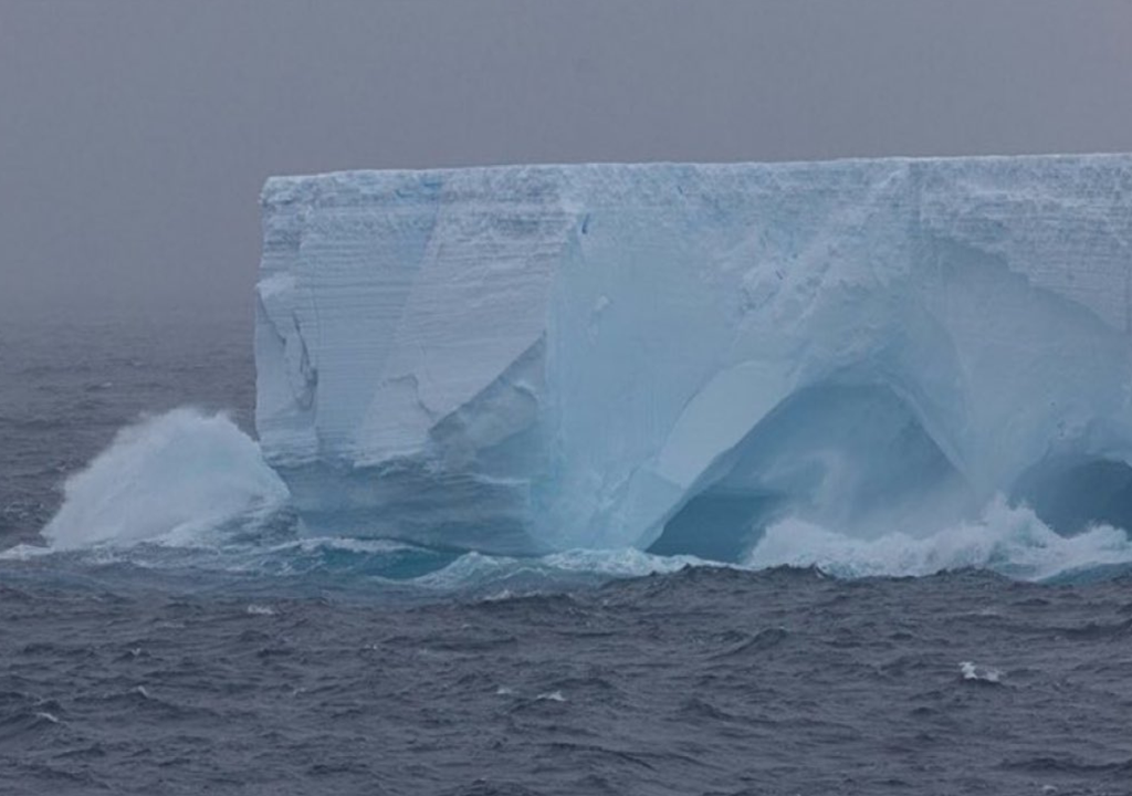 Antártida nido de peces En 2017, el desprendimiento del gigantesco iceberg A68 de la plataforma de hielo Larsen C dejó expuestas áreas del océano que llevaban décadas cubiertas. Foto: X @Punto4T