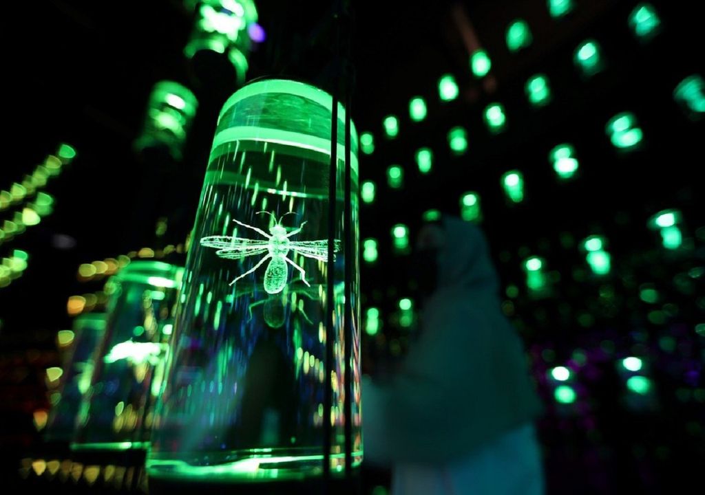 museo del futuro ciencia tecnología Dubái museo del futuro ciencia tecnología Dubái