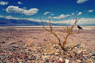 Tal día como hoy: infierno en Death Valley