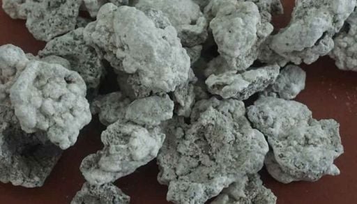El ingrediente nacido de lagos extintos que todav&iacute;a define el sabor de los esquites