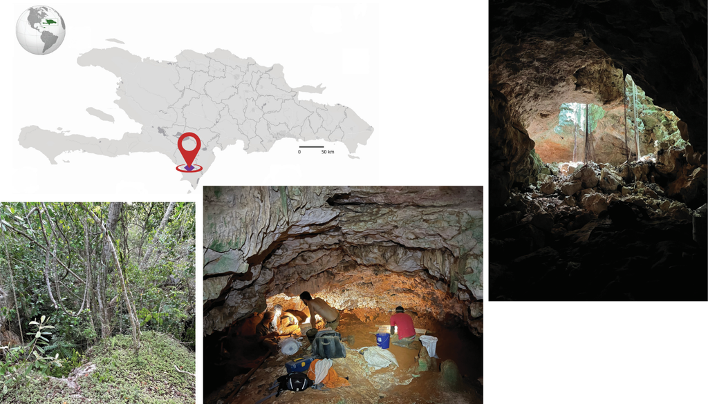 ciencia; La Española; fosil; paleontologia; estudio; hallazgo; abeja Ubicación y fotografías de la Cueva de Mono en la República Dominicana durante la excavación. Adaptado de Viñola-López et al. (2025).