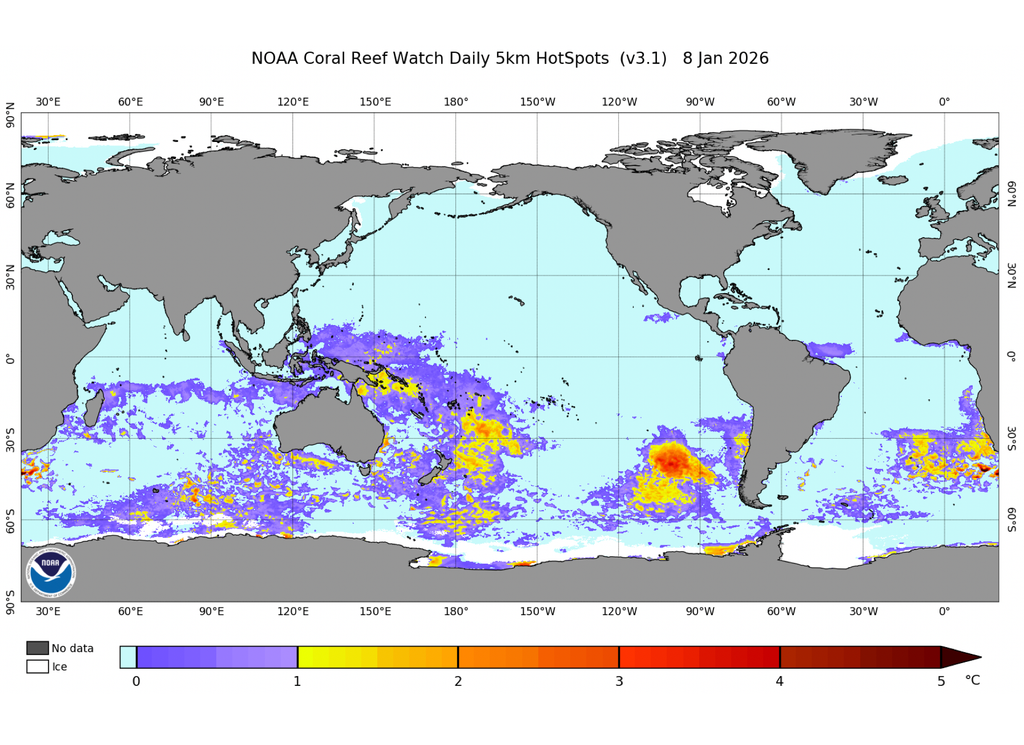 Monitoreo de puntos cálidos marinos del día 8 de enero de 2026. Fuente: NOAA Coral Reef Watch.