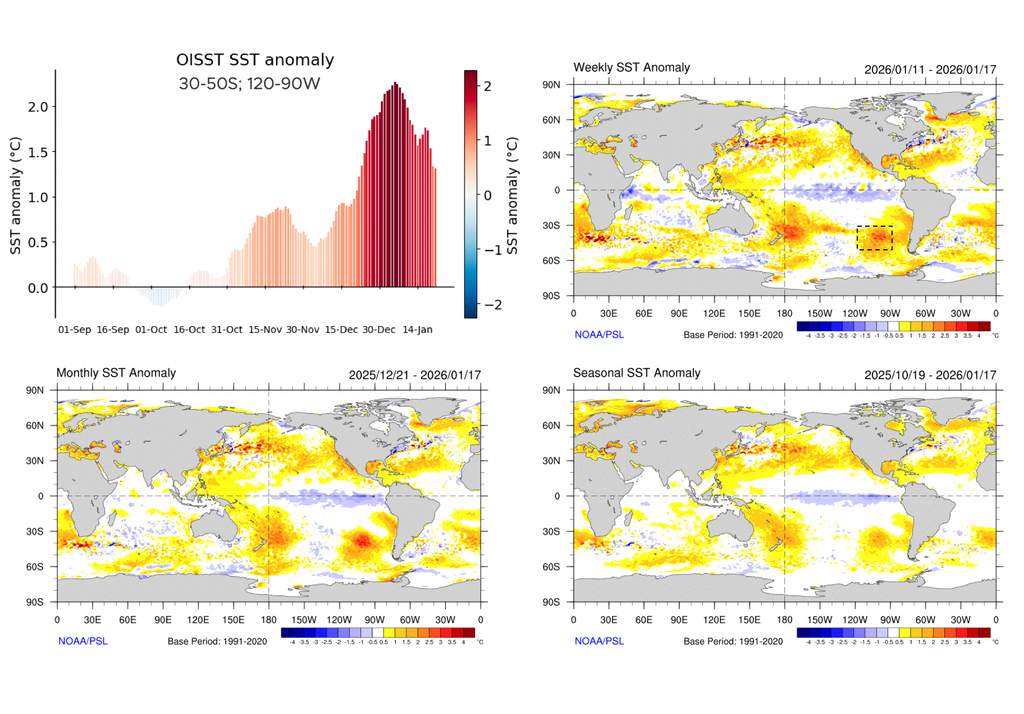 Arriba derecha: Serie de tiempo de anomalías diarias de temperatura superficial desde el 01 de septiembre de 2025 hasta el 21 de enero de 2026. Arriba derecha: Anomalías semanales (11 al 17 de enero) de temperatura superficial del mar. Abajo izquierda: Anomalías mensuales (21 de diciembre al 17 de enero) de temperatura superficial del mar. Abajo derecha: anomalías estacionales (19 de octubre al 17 de enero) de temperatura superficial del mar. Fuente: NOAA