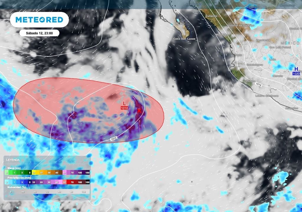 Los acumulados de lluvia más importantes en relación al Invest 97E, serán sobre islas mexicanas del Archipiélago de Revillagigedo. Los acumulados de lluvia más importantes en relación al Invest 97E, serán sobre islas mexicanas del Archipiélago de Revillagigedo.