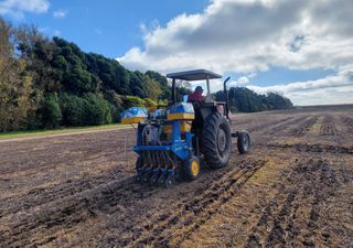 El invierno dejó de ser seco: lluvias impensadas reactivaron la campaña triguera en la zona centro de la Argentina