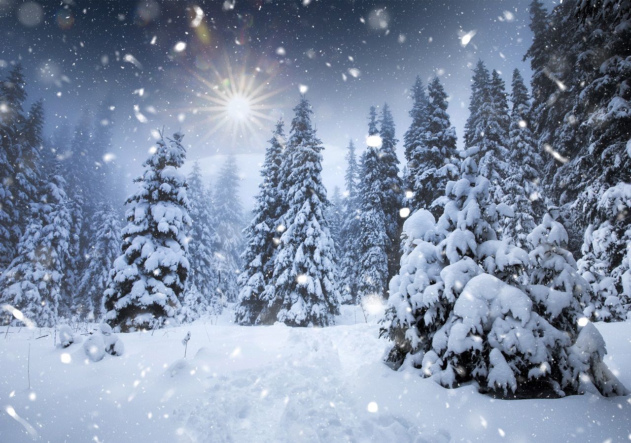 El polo norte se está enfriando conforme llega menos radiación solar; el vórtice polar estará débil y el frío irá extendiéndose hasta con -45 °C en varios países del hemisferio norte.
