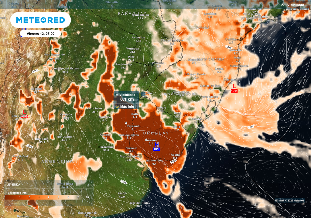 Visibilidad__Viernes 12 07_ Visibilidad según el modelo ECMWF para el viernes 12 de Junio a las 7 h.