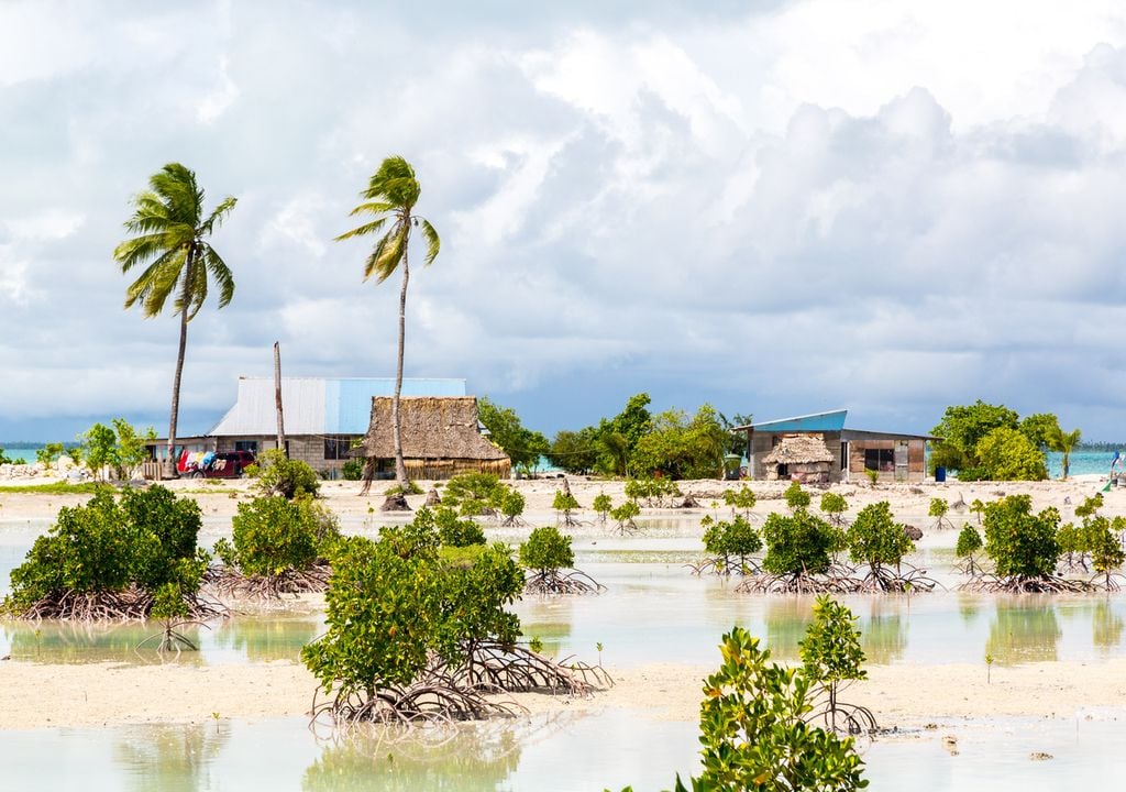 Kiribati manglares