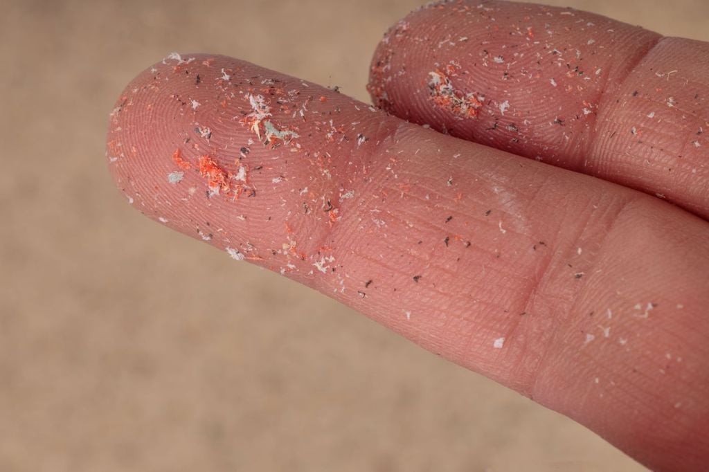 Investigadores del IPN detectaron 10 polímeros plásticos en sangre y orina en Oaxaca, alertando que estas partículas actúan como vehículos de metales cancerígenos.