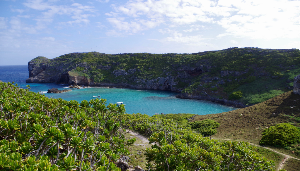 Las islas Ogasawara resguardan playas tropicales y ecosistemas tan singulares que fueron reconocidas como Patrimonio Mundial por la UNESCO. Las islas Ogasawara resguardan playas tropicales y ecosistemas tan singulares que fueron reconocidas como Patrimonio Mundial por la UNESCO.