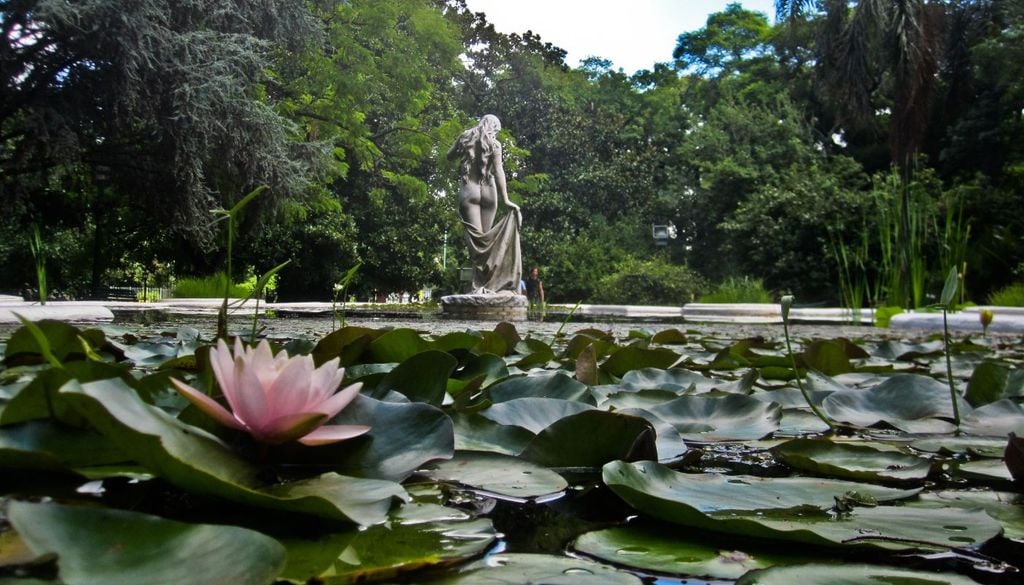 Jardín Botánico de la Ciudad «Carlos Thays» Jardín Botánico de la Ciudad «Carlos Thays»