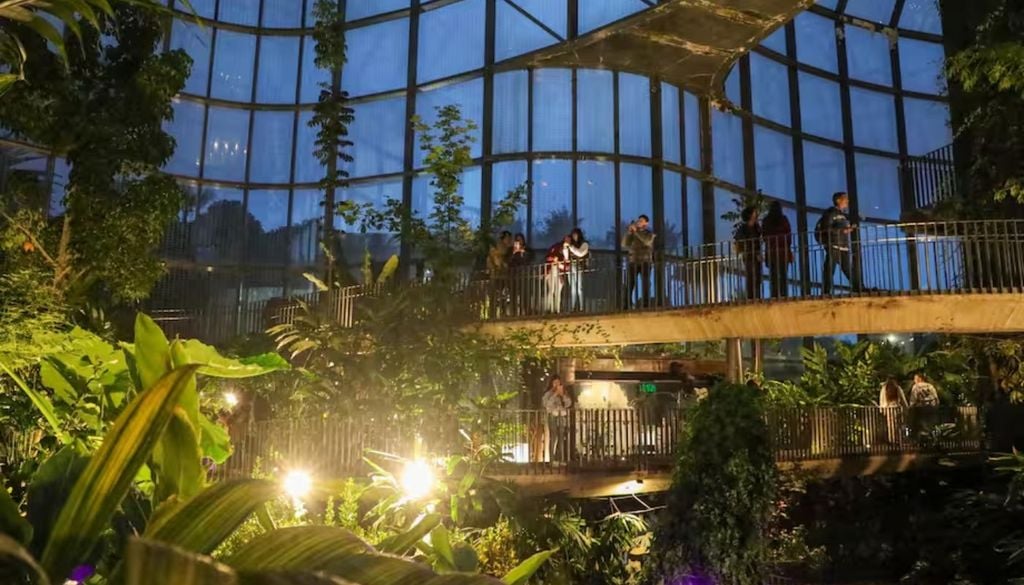 El Jardín Botánico de Buenos Aires se transforma en un “País de las Maravillas” nocturno El Jardín Botánico de Buenos Aires se transforma en un “País de las Maravillas” nocturno