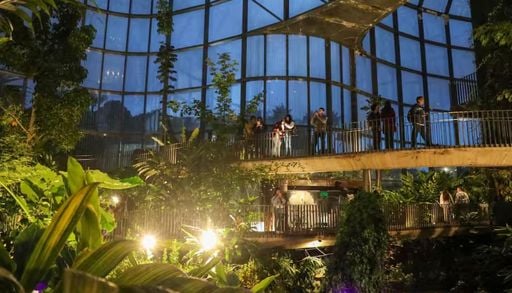 El Jard&iacute;n Bot&aacute;nico de Buenos Aires se transforma en un &ldquo;Pa&iacute;s de las Maravillas&rdquo; nocturno: fechas y precio de entradas