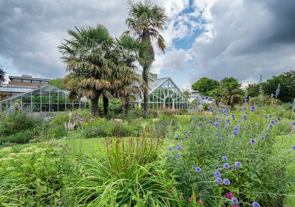 El Jardín Botánico está a 15 minutos a pie del centro de la ciudad de Cambridge y a 5 minutos de la estación de tren de Cambridge.